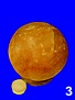 Thumbnail picture three of Shaped Salt Lamp which is a hover button showing larger image
