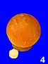 Thumbnail picture four of Shaped Salt Lamp which is a hover button showing larger image