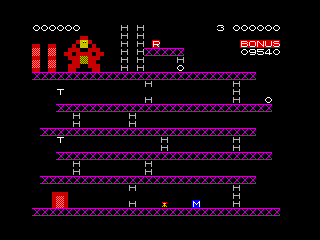 ZX80 Kong