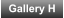 Gallery H