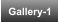 Gallery-1
