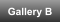 Gallery B
