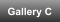 Gallery C