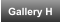 Gallery H