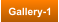 Gallery-1