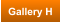 Gallery H