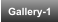 Gallery-1