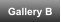 Gallery B