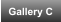 Gallery C