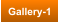 Gallery-1