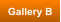 Gallery B