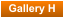 Gallery H