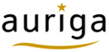 Auriga Services Logo